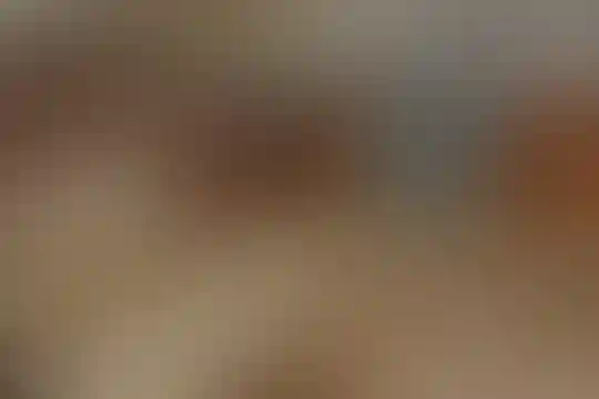 ماندگار البرز