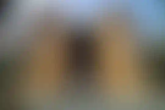 ماندگار البرز
