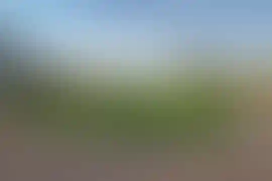ماندگار البرز