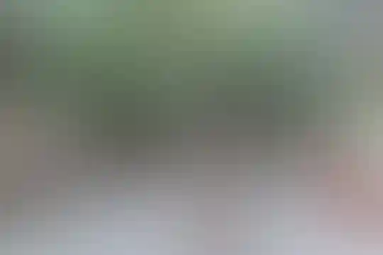 ماندگار البرز