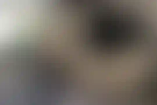 نور