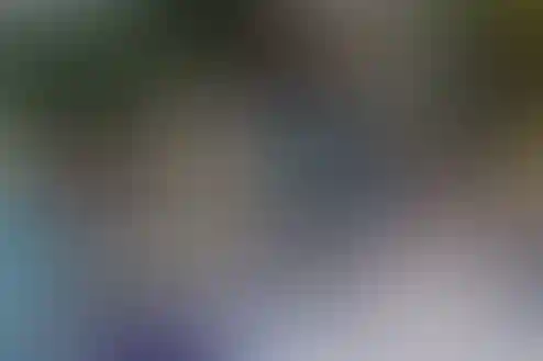 دکتر شاکری