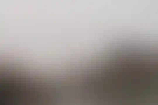 علوی