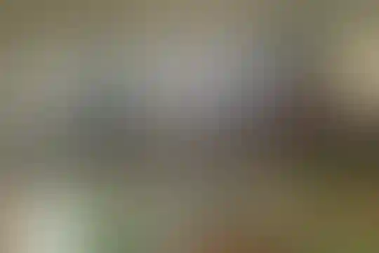 بسیج