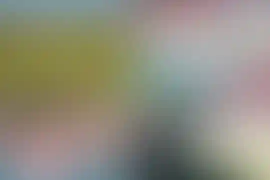 تربیت بدنی ملی پوشان