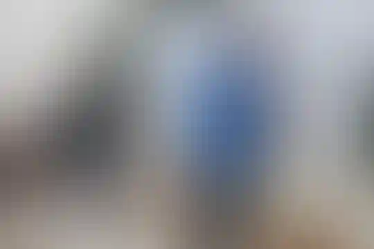 شهید کریم عباسی