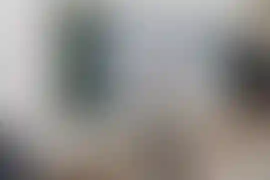 شهید کریم عباسی