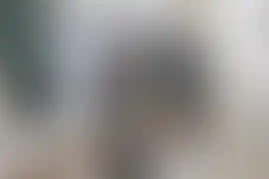 شهید کریم عباسی