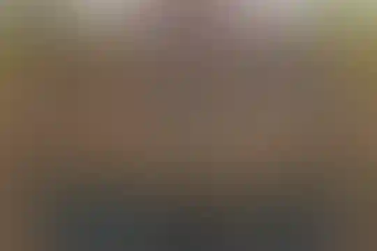 امام رضا