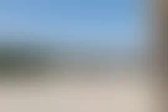 شهید دستغیب