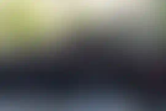 شهیده مرضیه شیروانی
