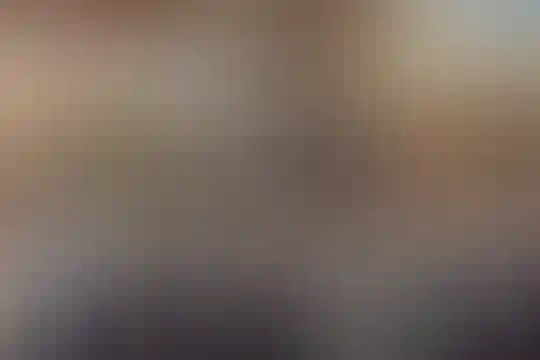 شهید سید فاطمی