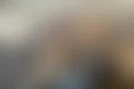 شهید سید فاطمی