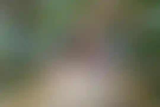 نوید