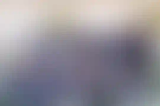 شهید فهمیده