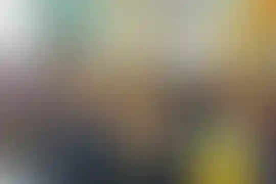 شهید فهمیده