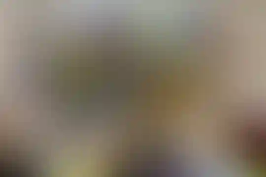 شهید فهمیده