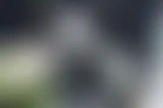 شهید فهمیده