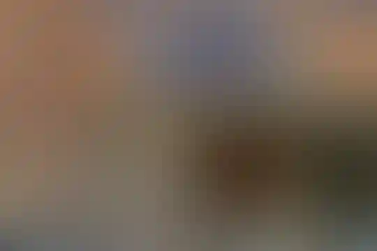 حاج محمدعلی محمودی