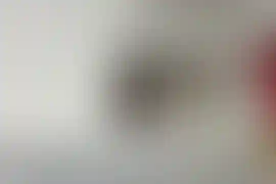 وستا