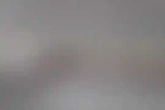 شهید بهشتی