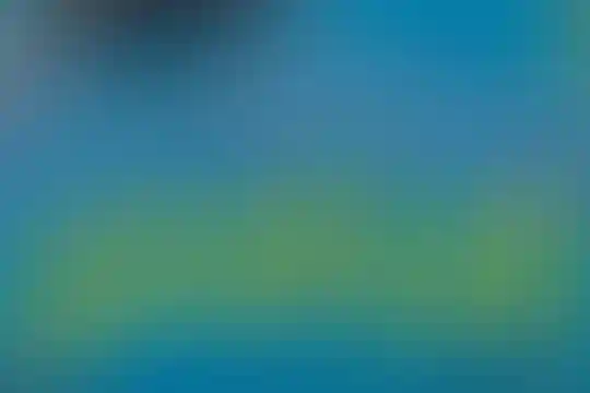 پردیس