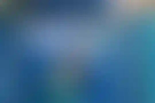 شهید ولی 2