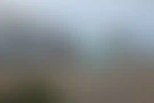 میرزا کوچک خان
