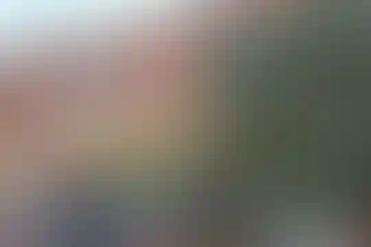 ارمغان علم