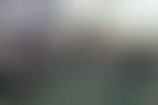علی ابن موسی الرضا