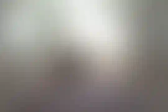 علوی