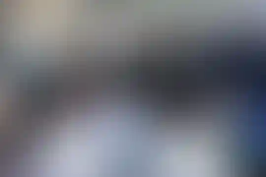 علوی