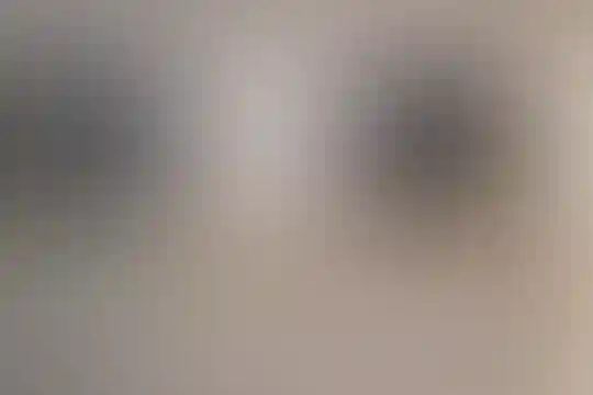 علوی