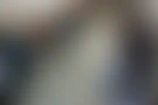 علوی
