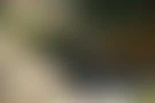 رستا