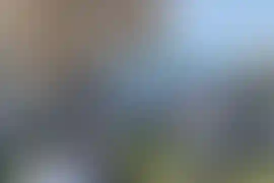 حکیم جهانگیرخان قشقایی