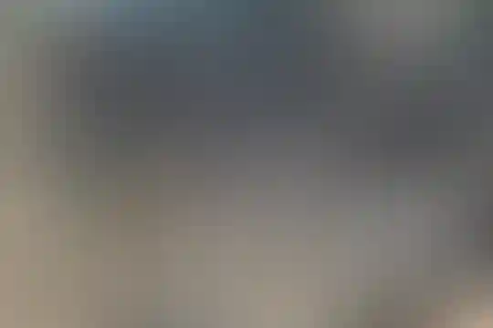 نوروزیان