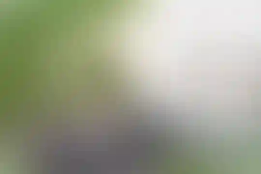 نور