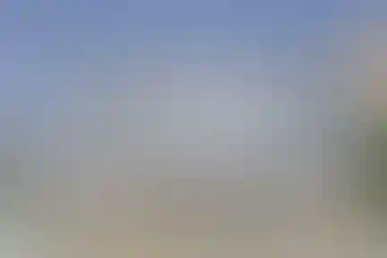 شهید مطهری