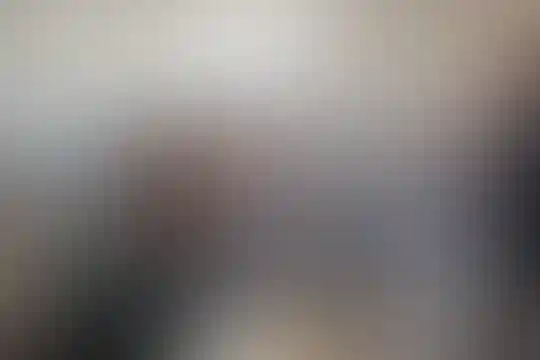 عمار یاسر