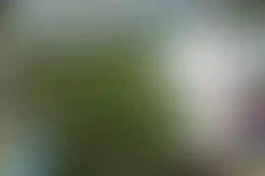 تکریم احمدی