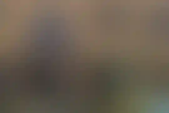 قاسم بن الحسن