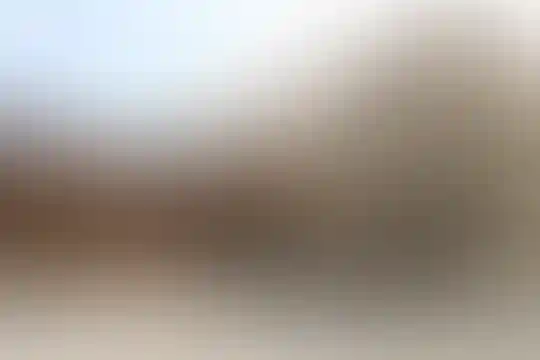 شیخ صدوق