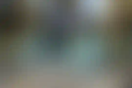 شیخ زاده هراتی