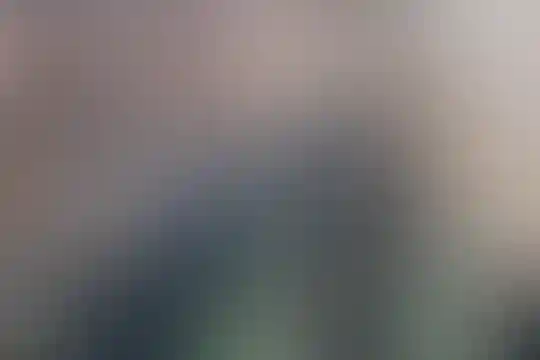 علی بن ابیطالب