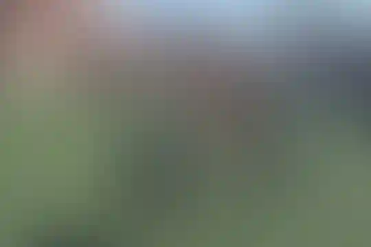 علی بن ابیطالب