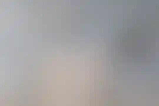 علی بن ابیطالب