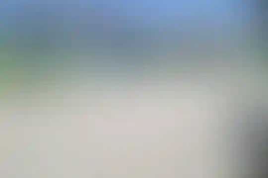 علی بن ابیطالب