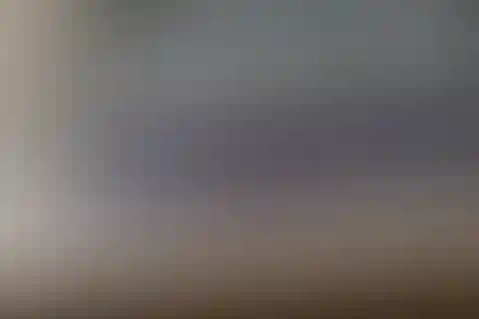 شهیدان کشتکار