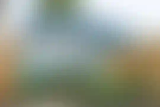 شهید کلاهدوز
